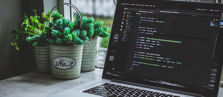 Why It's Important for Students to Learn How to Code